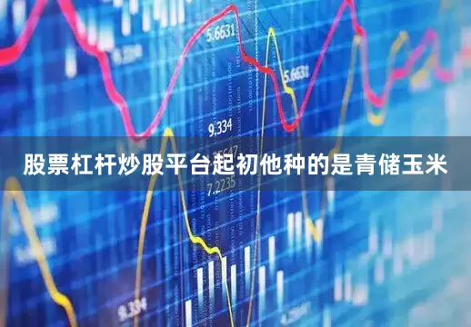 股票杠杆炒股平台起初他种的是青储玉米