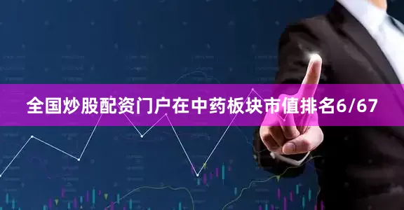 全国炒股配资门户在中药板块市值排名6/67
