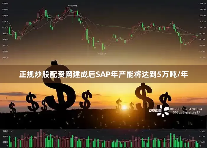 正规炒股配资网建成后SAP年产能将达到5万吨/年