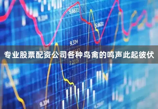 专业股票配资公司各种鸟禽的鸣声此起彼伏
