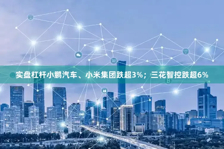 实盘杠杆小鹏汽车、小米集团跌超3%；三花智控跌超6%