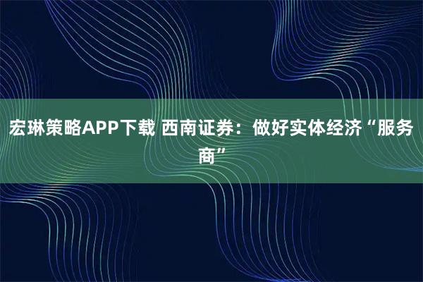 宏琳策略APP下载 西南证券：做好实体经济“服务商”